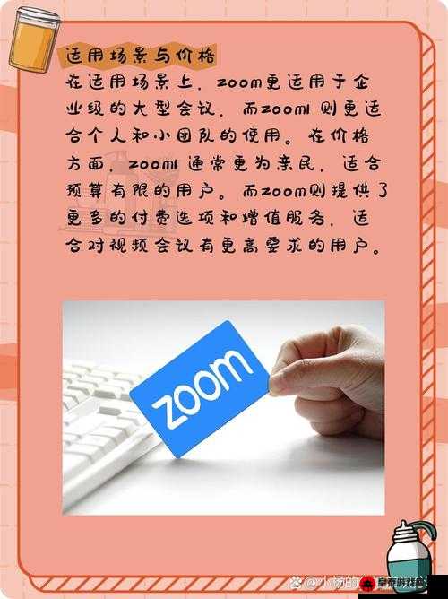 Zoom 与人马性 Zoom 的区别探讨