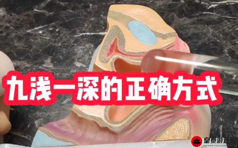 九浅一深左右研磨怎么调：提升性体验的技巧