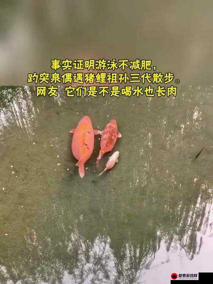 女人绝技：鲤鱼喝水感受如何