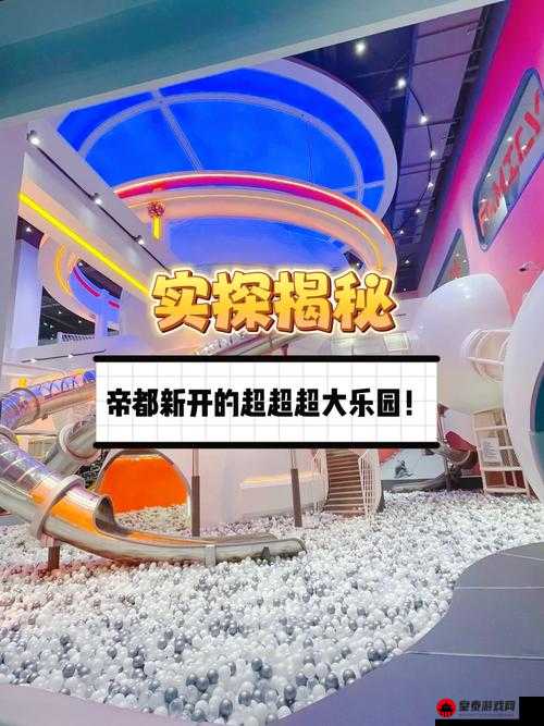 特殊游乐园 hgl 体验如何：精彩细节大揭秘