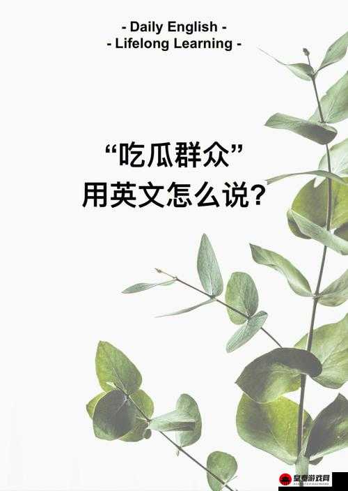 吃瓜网站：每日新鲜趣闻荟萃