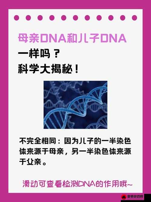 母亲的 DNA 和儿子的 DNA 是一样的吗：探究真相