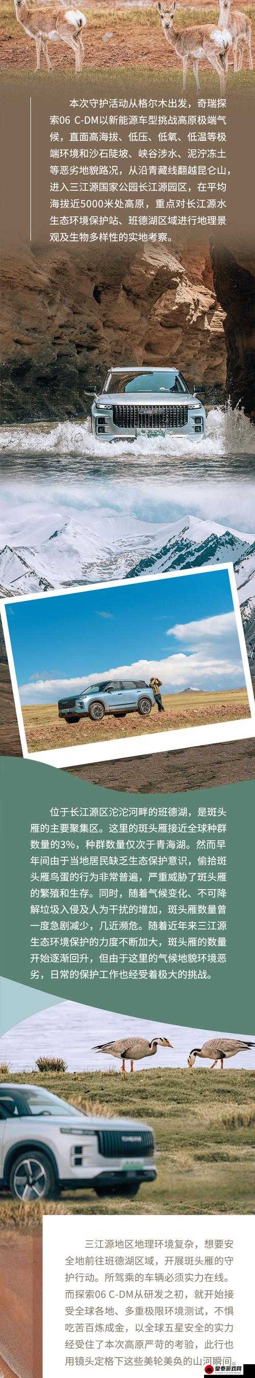 国产无人区码 SUV：探索未知的强大伙伴