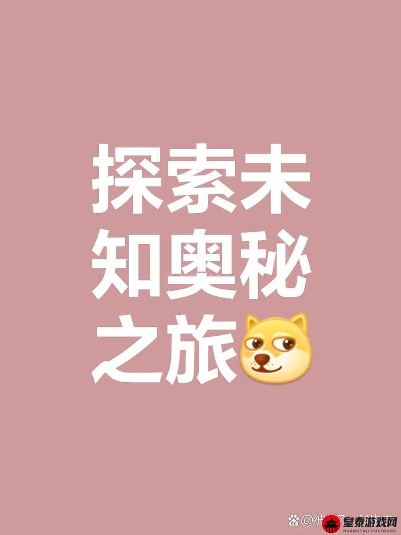 两性之间的唏唏哩哩：探索未知的奥秘