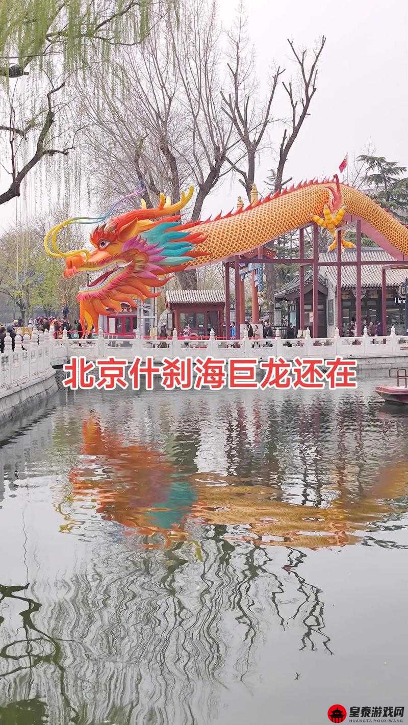 早上醒来发现巨龙还在：一段惊奇之旅即将开启