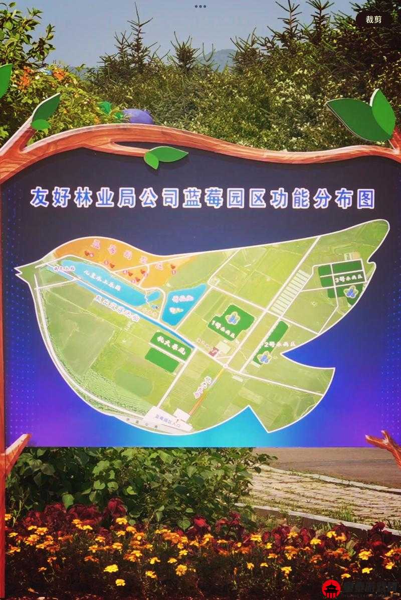 如何进入伊春园 2023 相关攻略