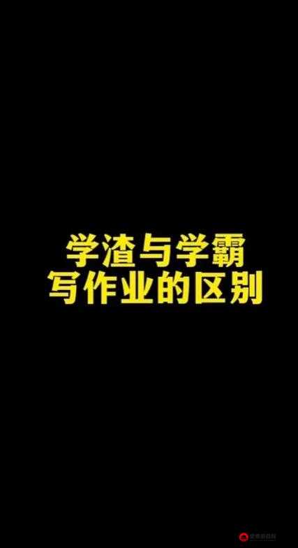 学渣与学霸：以作业之名的特别交流