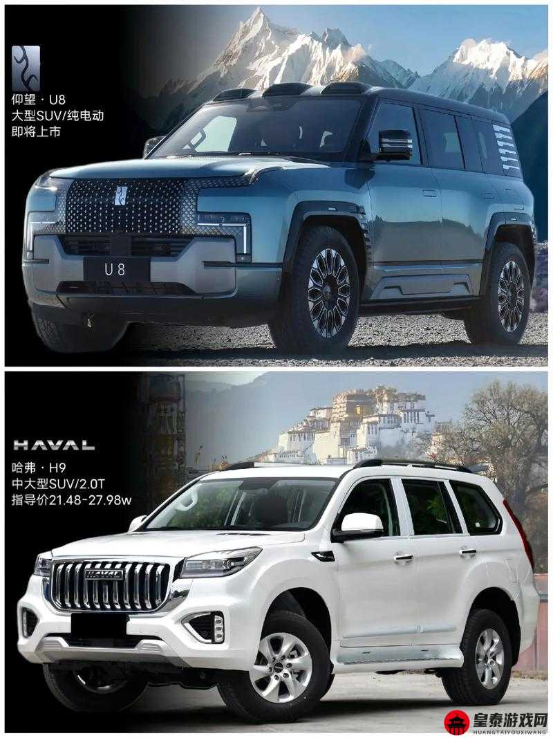 WEYVV5 国产 SUV 的虚拟赛车化：速度与激情