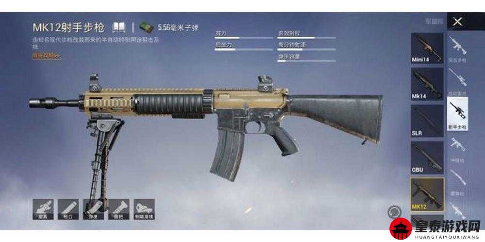 和平精英MK12射手全面解析：性能与使用攻略