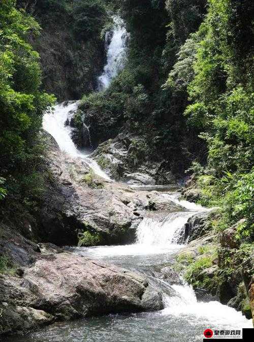 侠客养成手册：云坪山地图过法及云坪山主线任务详细攻略