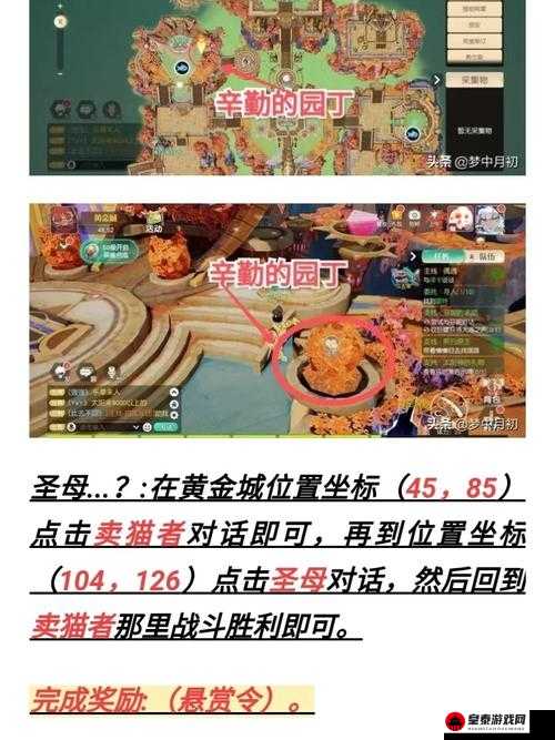 梦想新大陆奇遇攻略：龙蛋大搜查——全位置指南