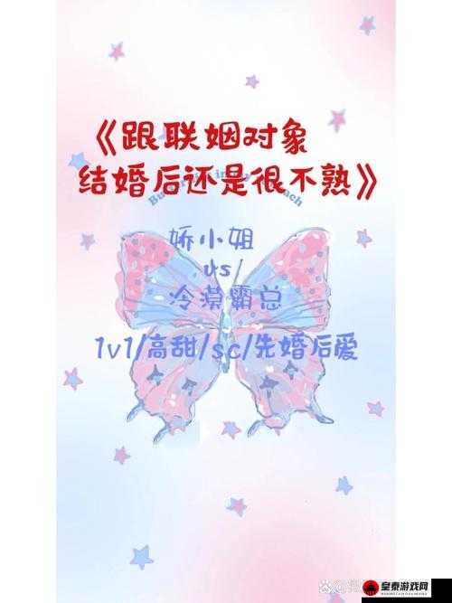 联姻对象11h：婚姻的桥梁与文化的融合