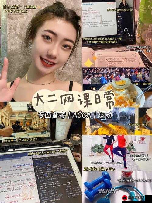 acca少女网课视频：轻松学习会计秘籍