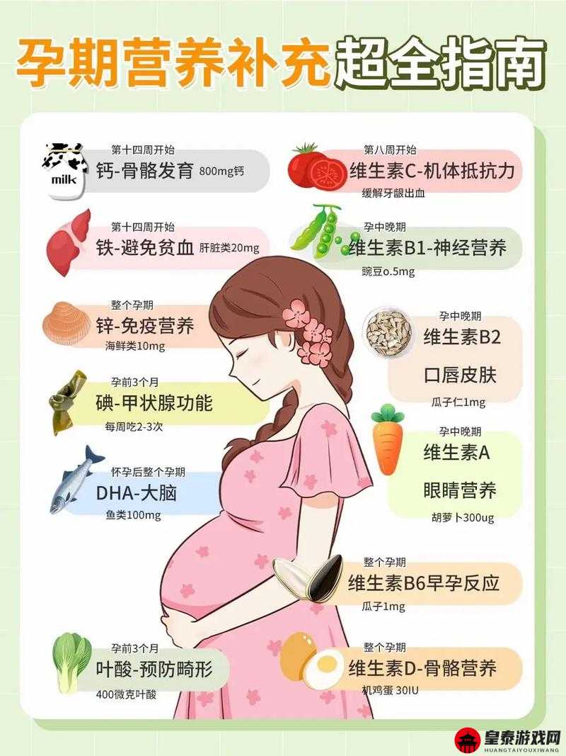 新版孕妇bbwbbw健康指南：孕期营养与护理