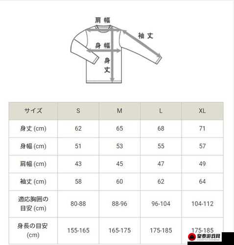 日本L码和中国码的区别及其影响因素