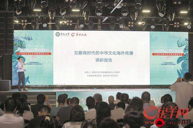 中国视频：探索网络文化的深层影响