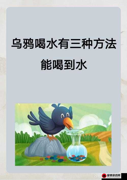 事前怎么做才有水：储水方法与技巧