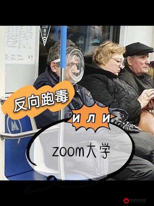 俄罗斯ZOOM与人性ZOOM的深度探讨