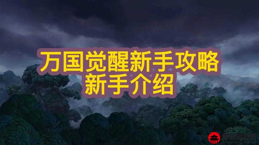 万国觉醒：加速使用时机全解析，助你游戏攻略更上一层楼