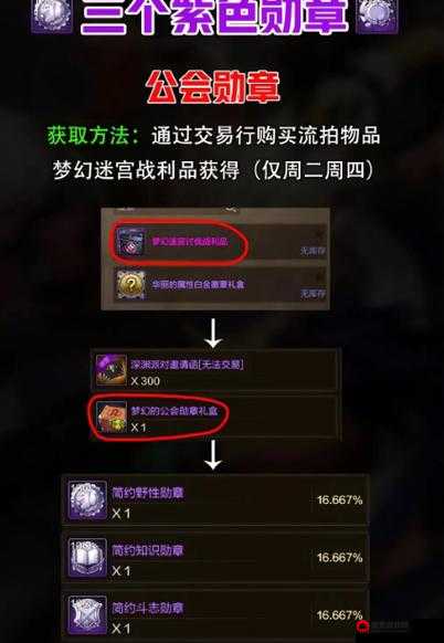 DNF手游徽章获取攻略：步步教你获得徽章