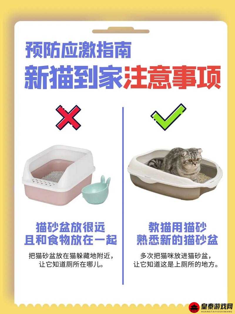 猫之城新手选角指南 优质角色推荐助你启航