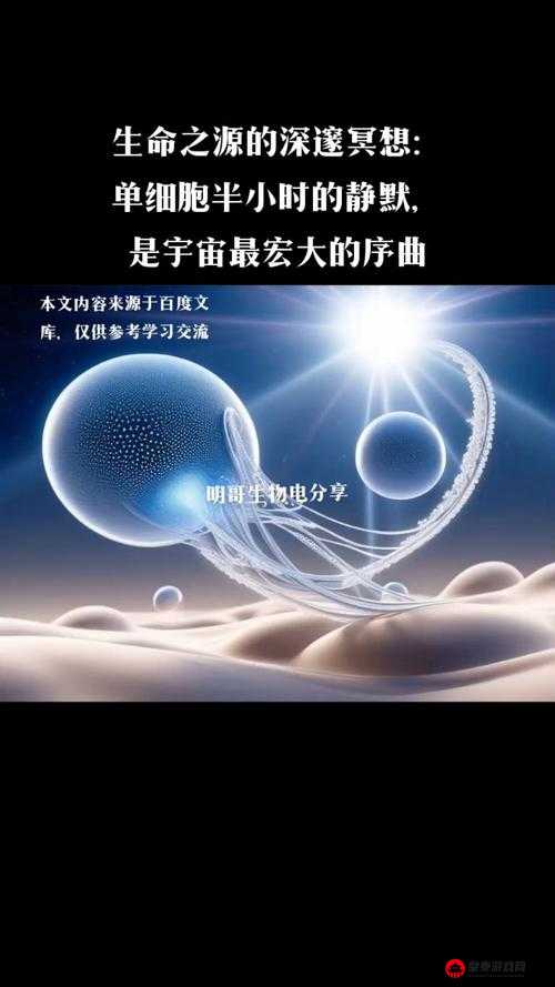 先天元精的秘密揭示宇宙生命之源与修炼真谛探寻内在力量的奥秘