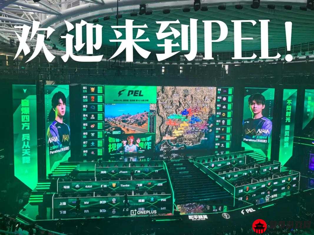 NV强势夺冠PEL决赛掀起热潮：XQF位居次席，虎牙甲独占鳌头